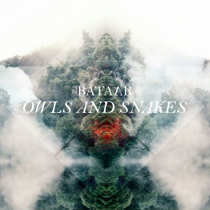 BatAAr - Owls And Snakes (Single) (2012)
