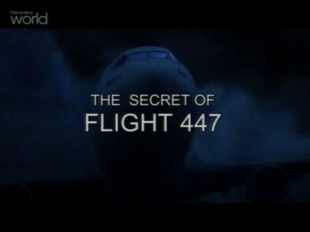 Тайна рейса 447 / The Secret of Flight 447 (2012 / SATRip)