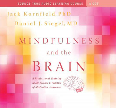 Mindfulness and the Brain: A Professional Training in the Science and Practice of Meditative Awareness (Audiobook)