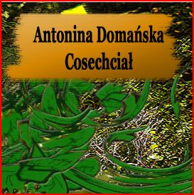 Domańska Antonina - Cosechciał [audiobook pl]