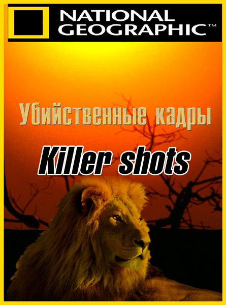   / Killer shots /3   3/ (2011) SATRip