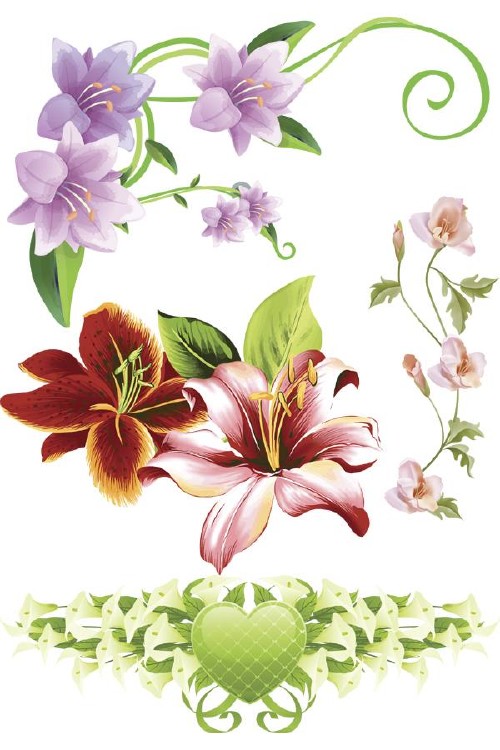 Лилии рисованные - цветочный фотосток