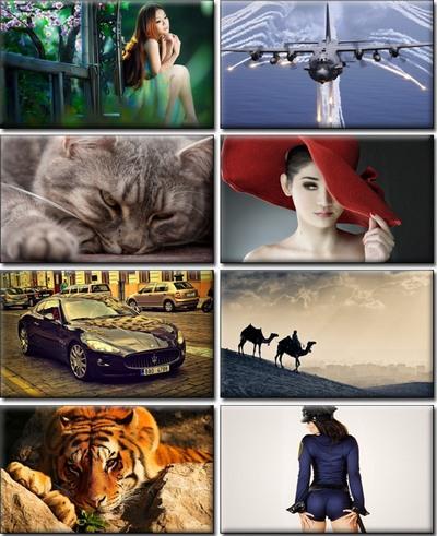 LIFEstyle News MiXture Images. Wallpapers Part (91)