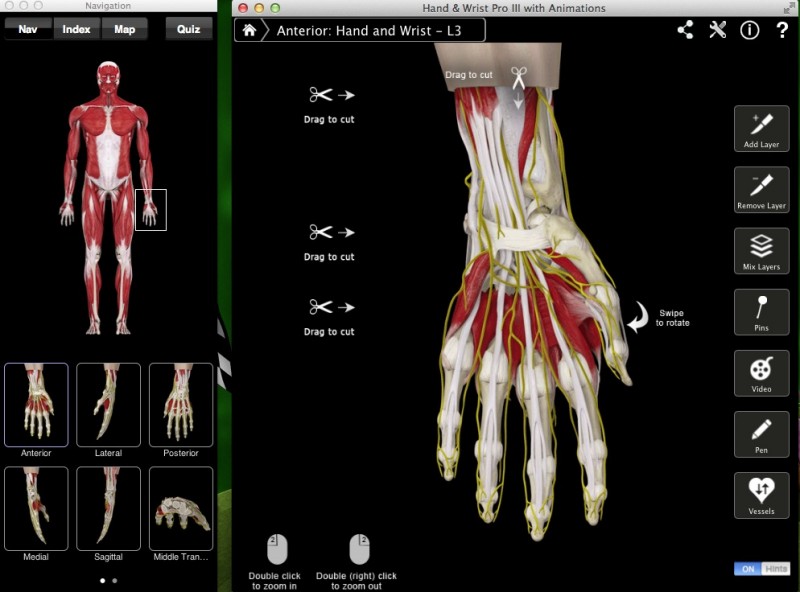 Hand & Wrist Pro III - анатомия рук человека (запястье)