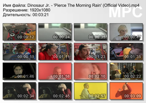 Dinosaur Jr. - Pierce The Morning Rain