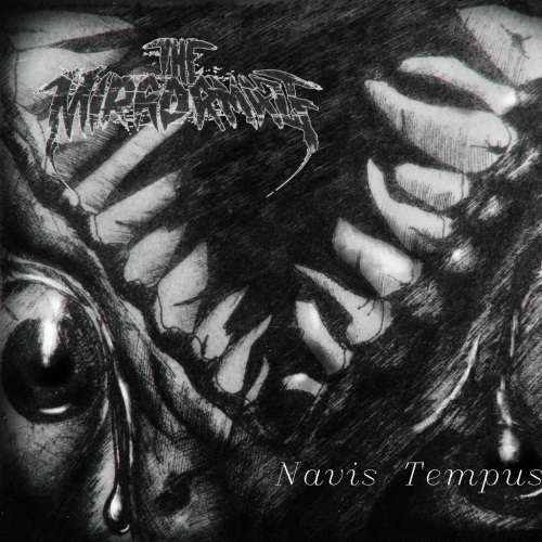 The Mirror Maze - Navis Tempus (Single) (2012)