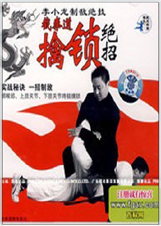 Цин на Джит Кун До (2005) VCDRip