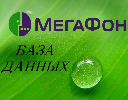Телефонная БД пользователей Megafon (RUSENG2013)