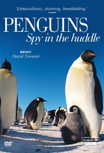 :    / Penguins - Spy In The Huddle /: 1-2  3 (  / John Downer) [2013, , , HDTVRip 720p], ENG + RUS SUBS (korolami)