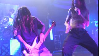 Korn - Live At The Hollywood Palladium (2012)
