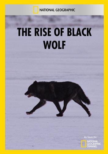    / The Rise of Black Wolf [2010, , HDTV 1080i]