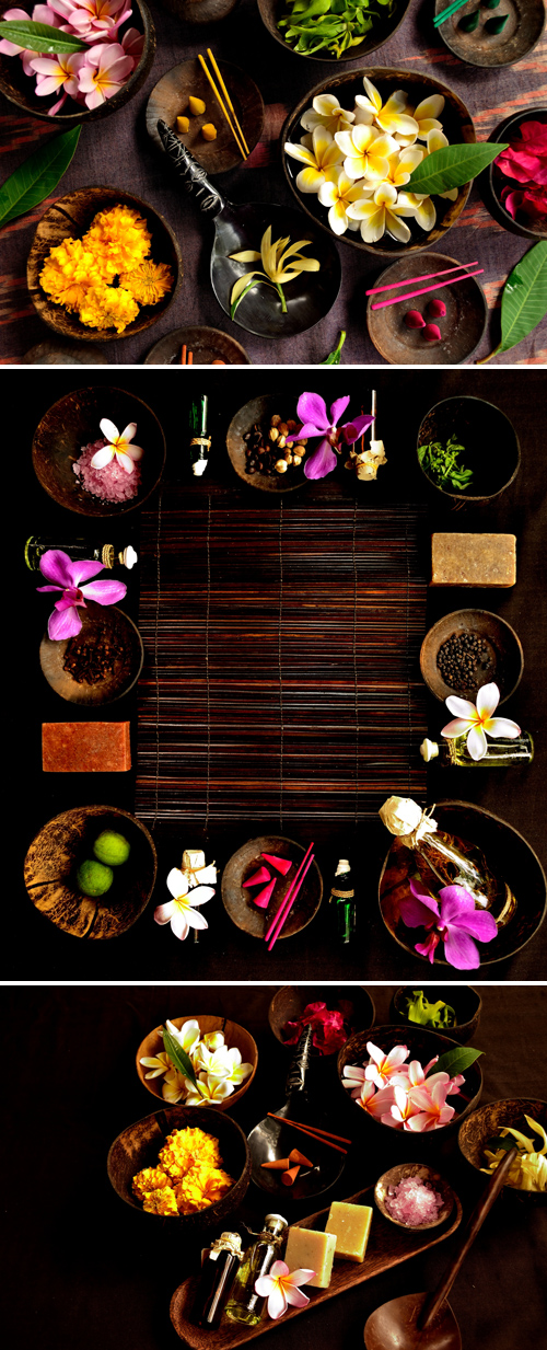 Stock Photos - Asian Tropical Flowers