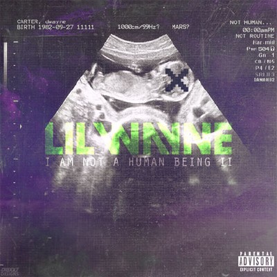 Lil Wayne  I Am Not A Human Being 2 (2013)