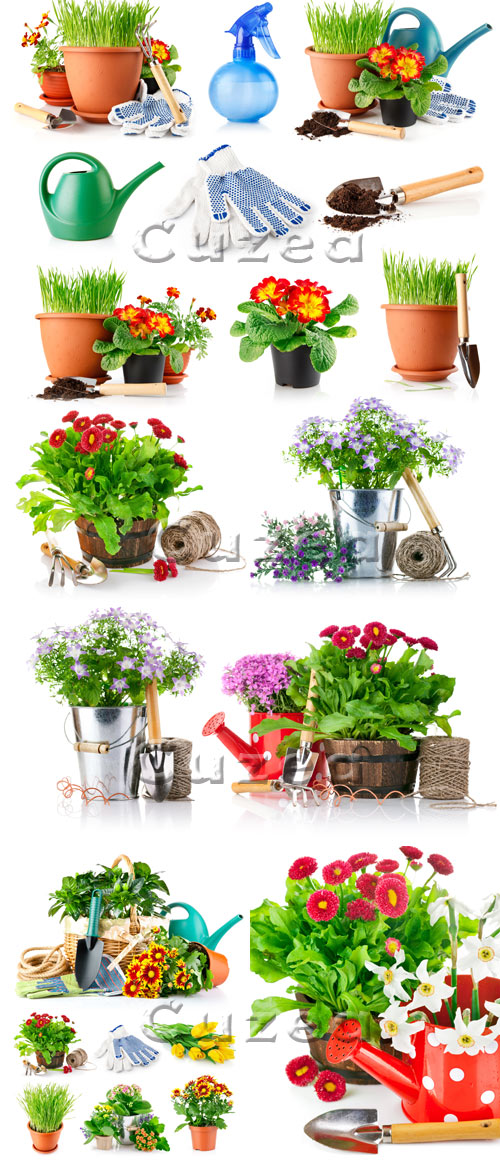 Stock photo -      /  Spring flowers and garden devices