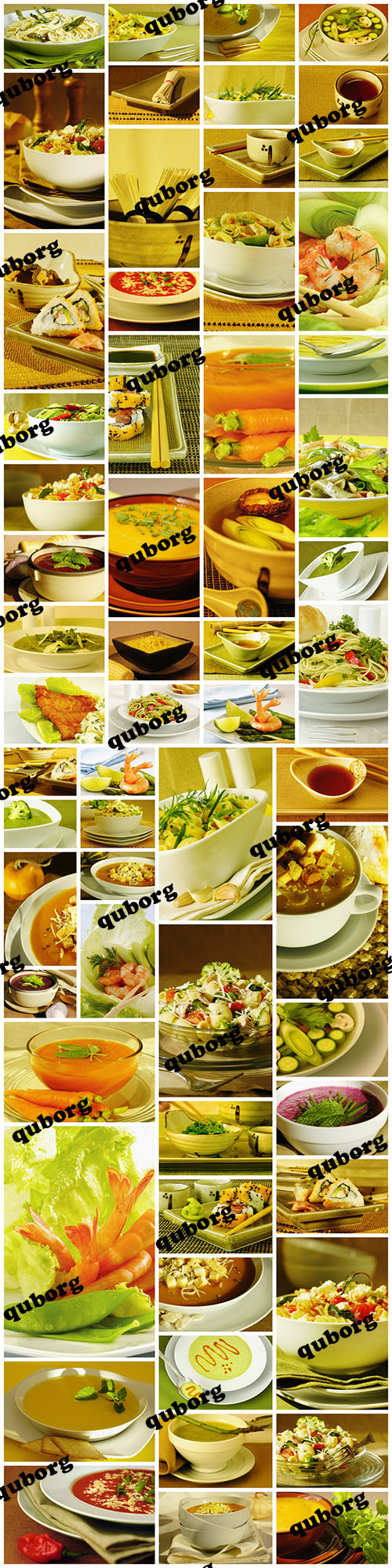 Stock Photos - Gourmet Food