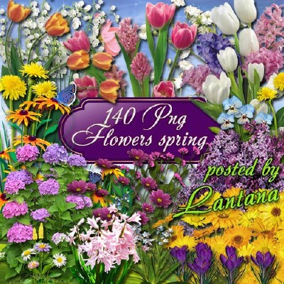 Клипарт - Весенние цветы, в них столько нежности, любви и красоты