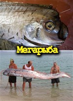  / National Geographic: Mega Fish (2008) SATRip