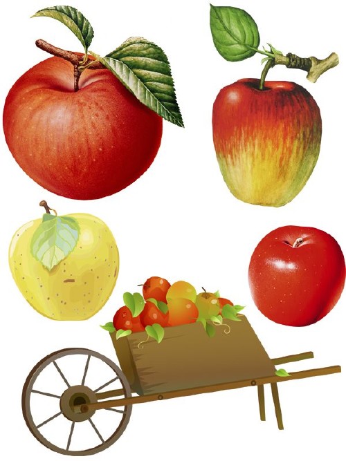 Яблоки нарисованные - фруктовый фотосток