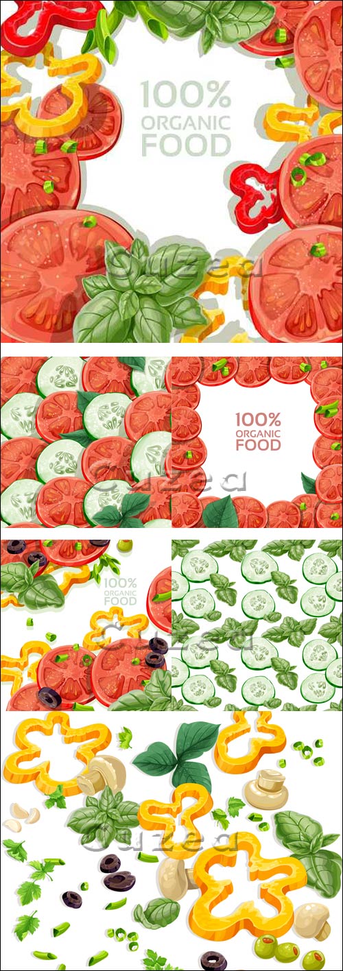     / Beautiful frame with fresh tomato slices sprinkled with herbs in vector