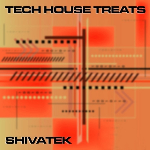 VA - Tech House Treats 8 (2013) MP3 + Lossless