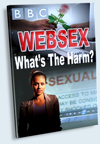 Секс по интернету. Безопасно? / Websex: What's the Harm? (Анна Мишкон) [2012г.]