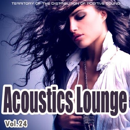 Acoustics Lounge Vol. 24 (2013)