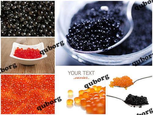 Stock Photos - Caviar