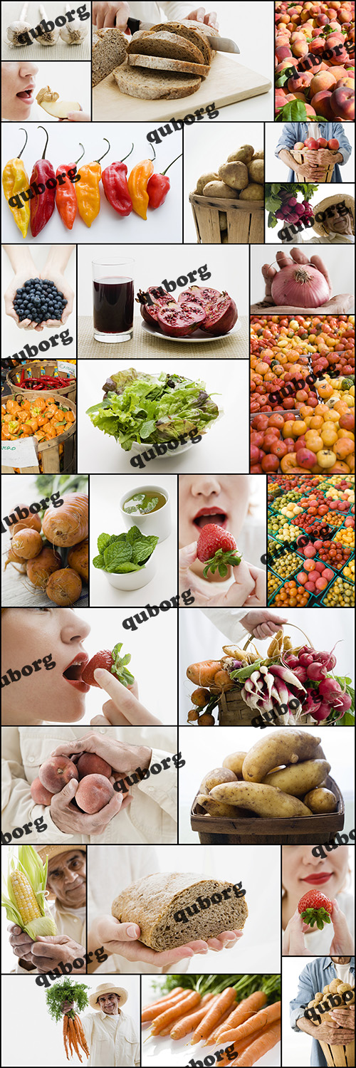 Stock Photos - Organic Foods