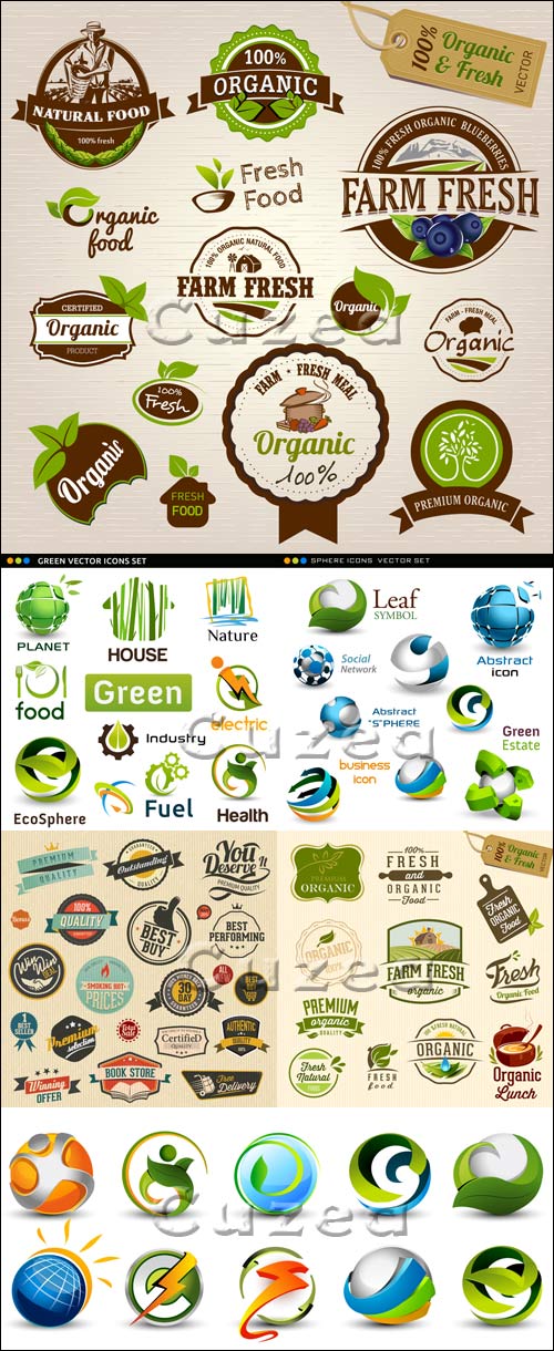    / Green vector icons and labels
