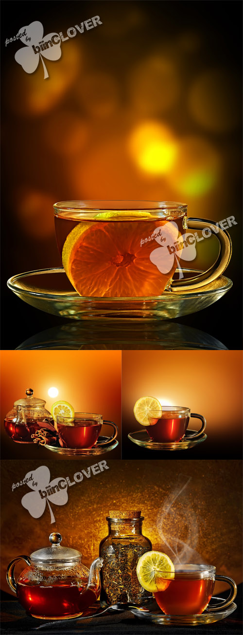 Cup of tea 0392