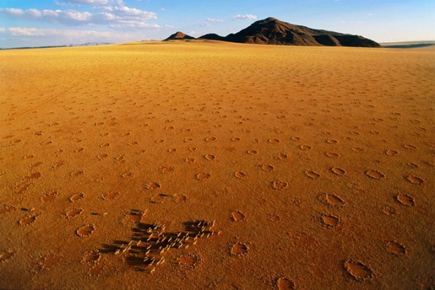 Загадка природы: пятна на полях Намибии