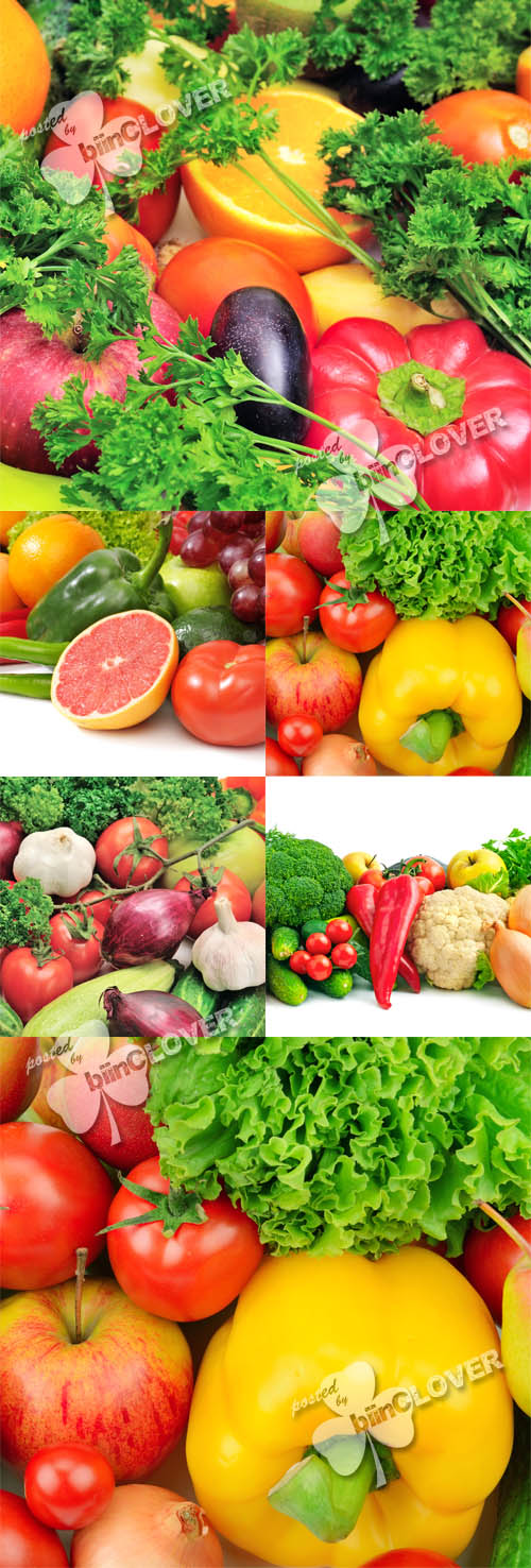 Fresh fruits and vegetables background 0404