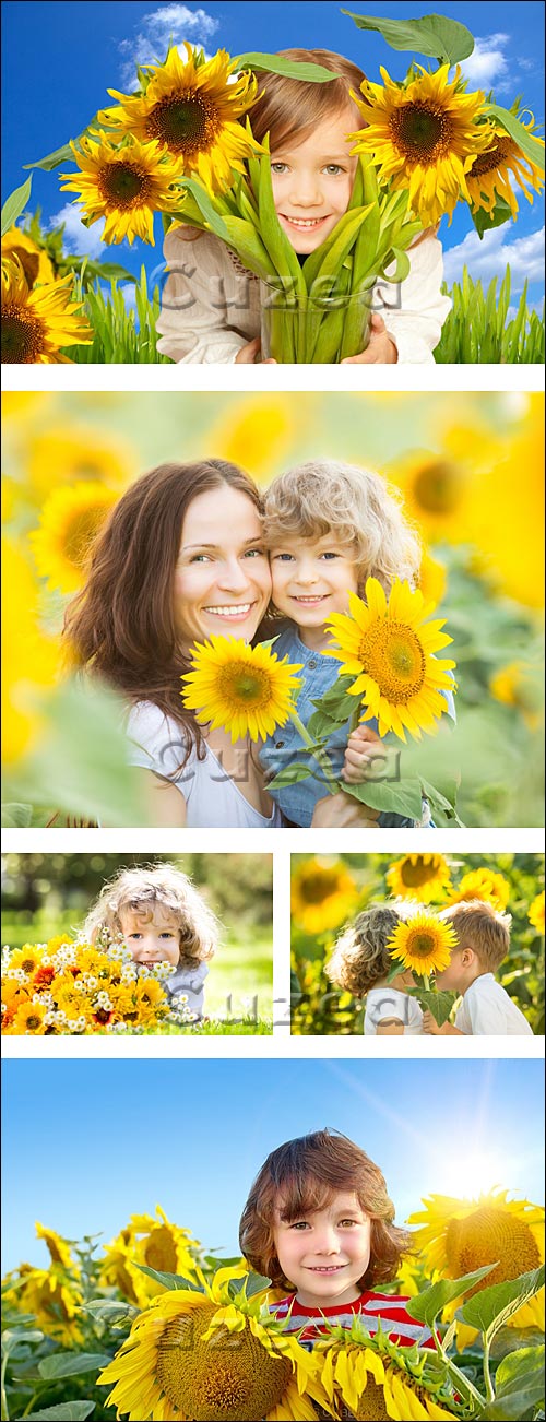   / Peoples in sunflowers - Stock photo